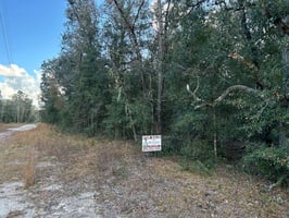 21756323