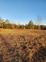 21756368