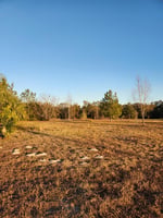 21756369