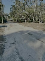 21756947