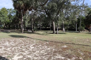 21758001