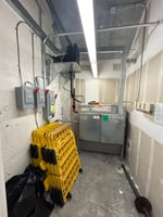 21767506