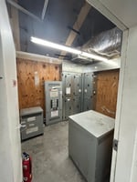 21767498