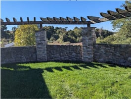 21767813