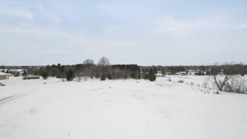 21767940