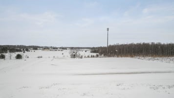 21767921