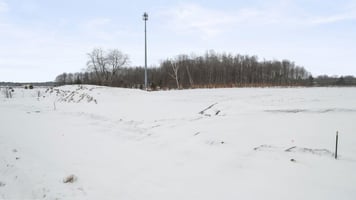 21768024