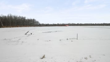 21768238