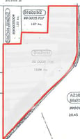 21779881