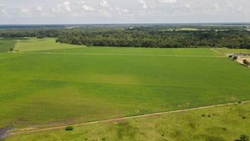 21788776