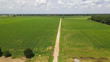 21788761