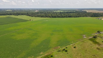 21788774