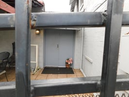 21789409