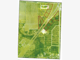 29546446