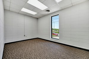 21813101
