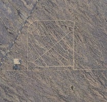 21816307