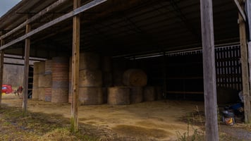 22840133