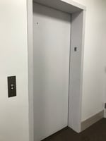 29033981