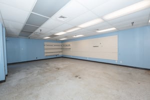 29346743