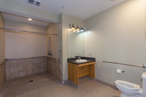 21924481