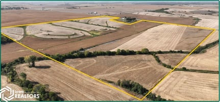 21925866