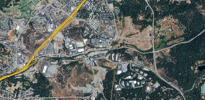 21956261