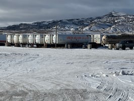 21937462