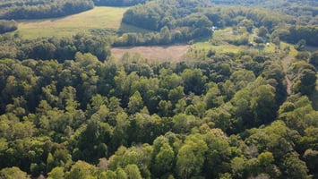 29215732