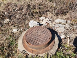 21939471