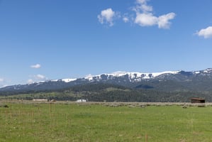 21945836