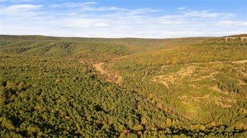 28937640