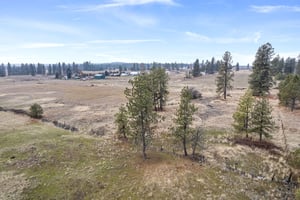 21958345