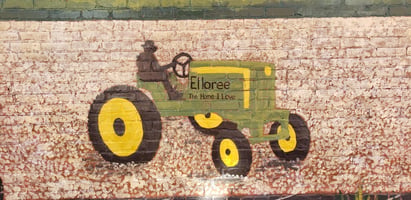 31429561