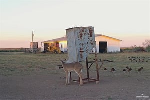 22035888