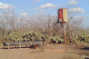 22035885