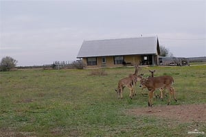 22035891