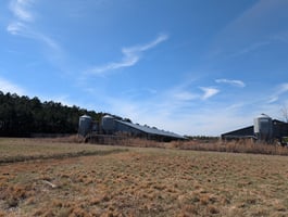 22035984