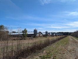 22035986