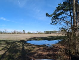 22035996