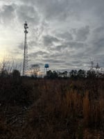 33978747
