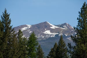 22042455