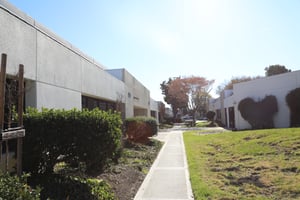 22055945
