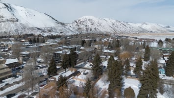 22061631