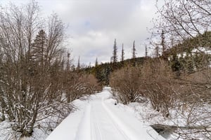 22065322