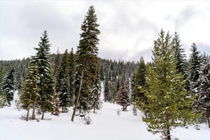 22065328