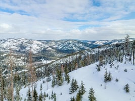 22065342