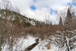 22065312