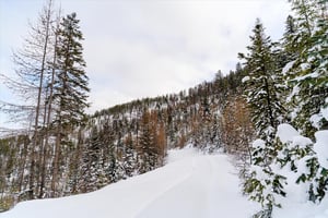 22065332