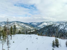 22065363