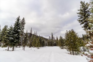 22065334